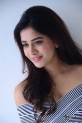 Nabha Natesh New Photos